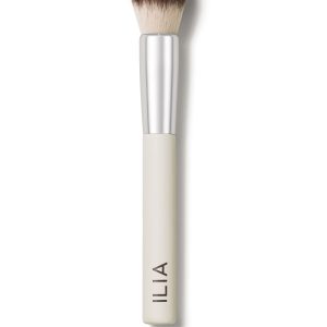 Precision Powder Brush
